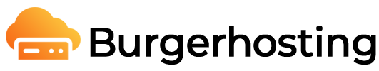 cropped burgerhosting logof 1.png